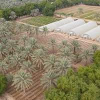 Visite interactive d'une ferme permaculture et dégustation