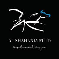 Visite des écuries Al Shahania stud