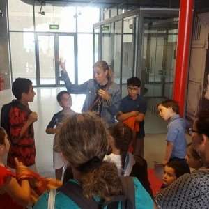 Expo Picasso Giacometti visite spéciale enfants !