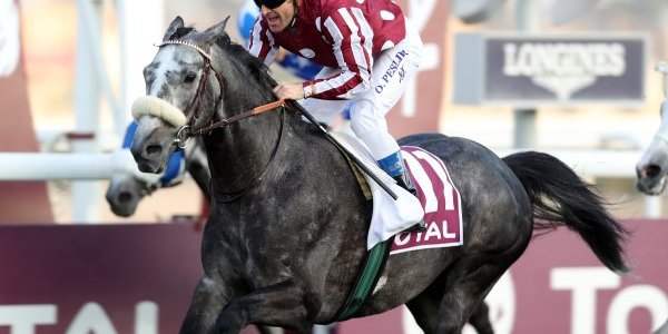Emir's Sword courses hippiques