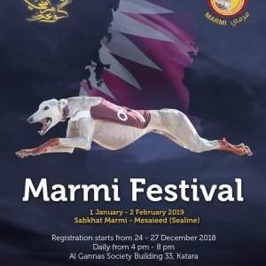 MARMI FESTIVAL (FESTIVAL DE LA CHASSE AUX FAUCONS)