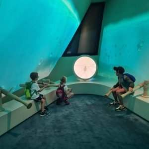Visite du Musée National pour les enfants