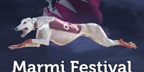 MARMI FESTIVAL (FESTIVAL DE LA CHASSE AUX FAUCONS)