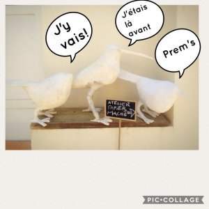 Atelier papier mâché