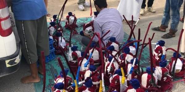 Camel race