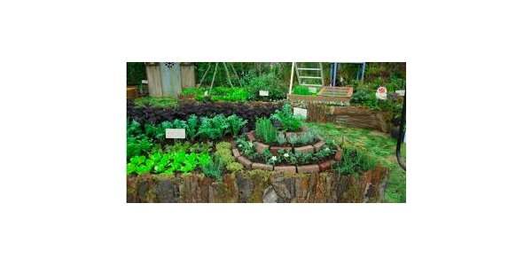 Atelier permaculture (5 séances)