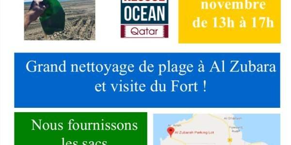 Opération plage propre !