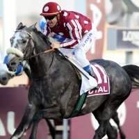 Champ de courses