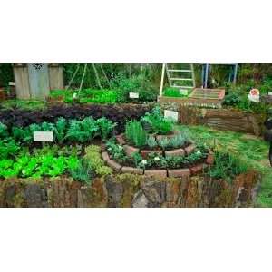 Atelier permaculture (5 séances)