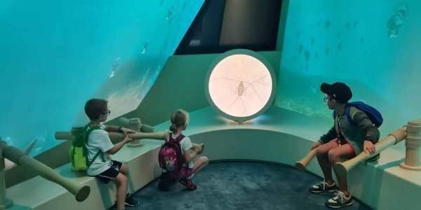 Visite du Musée National pour les enfants