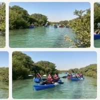 Kayak dans les Mangroves - Vendredi 4 mars 08:00-12:00