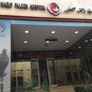 Visite de l'hôpital des faucons