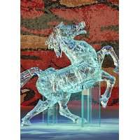 Carousel Seeroo Fi Al-Ardh