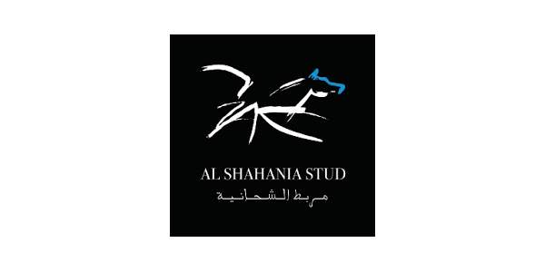 Al Shahania stud - découverte des écuries